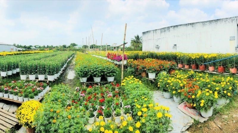 Làng nghề Hoa kiểng Phó Thọ được biết đến với những sản phẩm độc đáo và đẹp mắt. Ở đây, các nghệ nhân đã truyền lại những kỹ thuật trồng và chăm sóc hoa kiểng từ đời này sang đời khác. Với sự tận tâm và chăm chỉ, họ đã tạo ra những tác phẩm nghệ thuật hoa kiểng độc đáo và đẹp mắt, thu hút sự quan tâm của nhiều người.