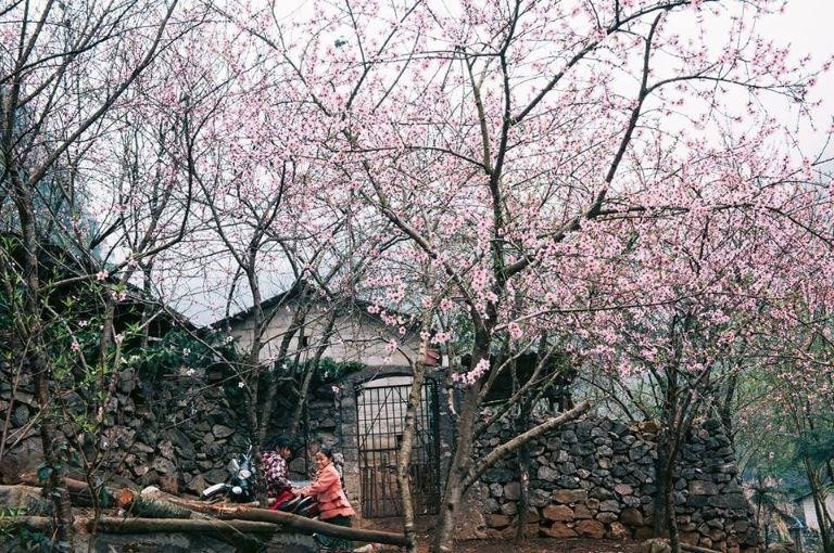 Khi nào là thời điểm tuyệt vời để khám phá Hà Giang trong chuyến phượt của bạn?