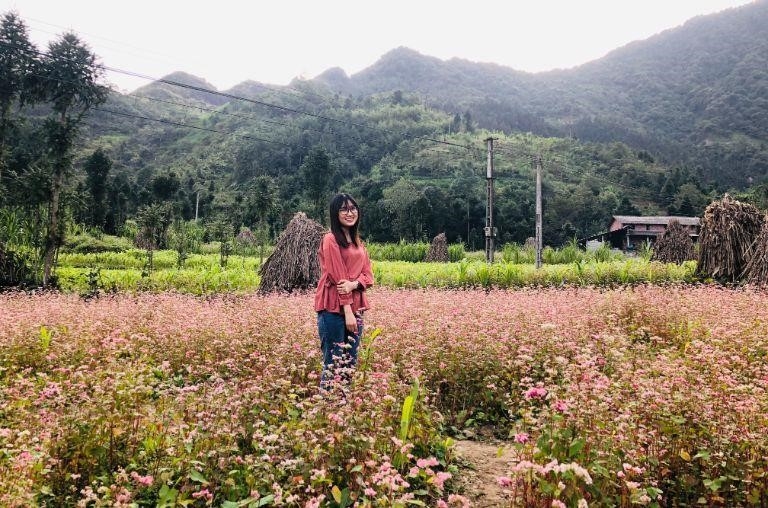 Nhìn vào những bức hình, ai cũng không thể chối từ vẻ đẹp hút hồn của cánh đồng hoa Tam Giác Mạch quanh Sủng Là.